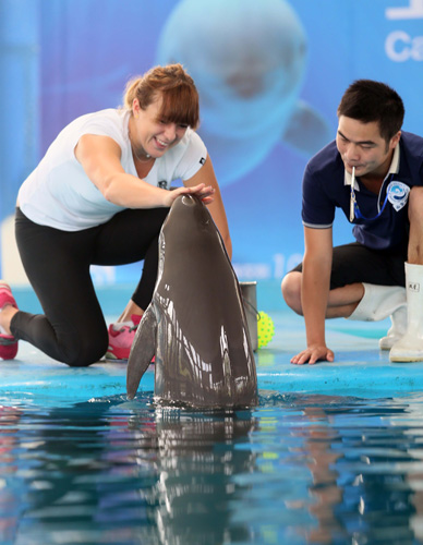 平台将一笔 平台将一笔