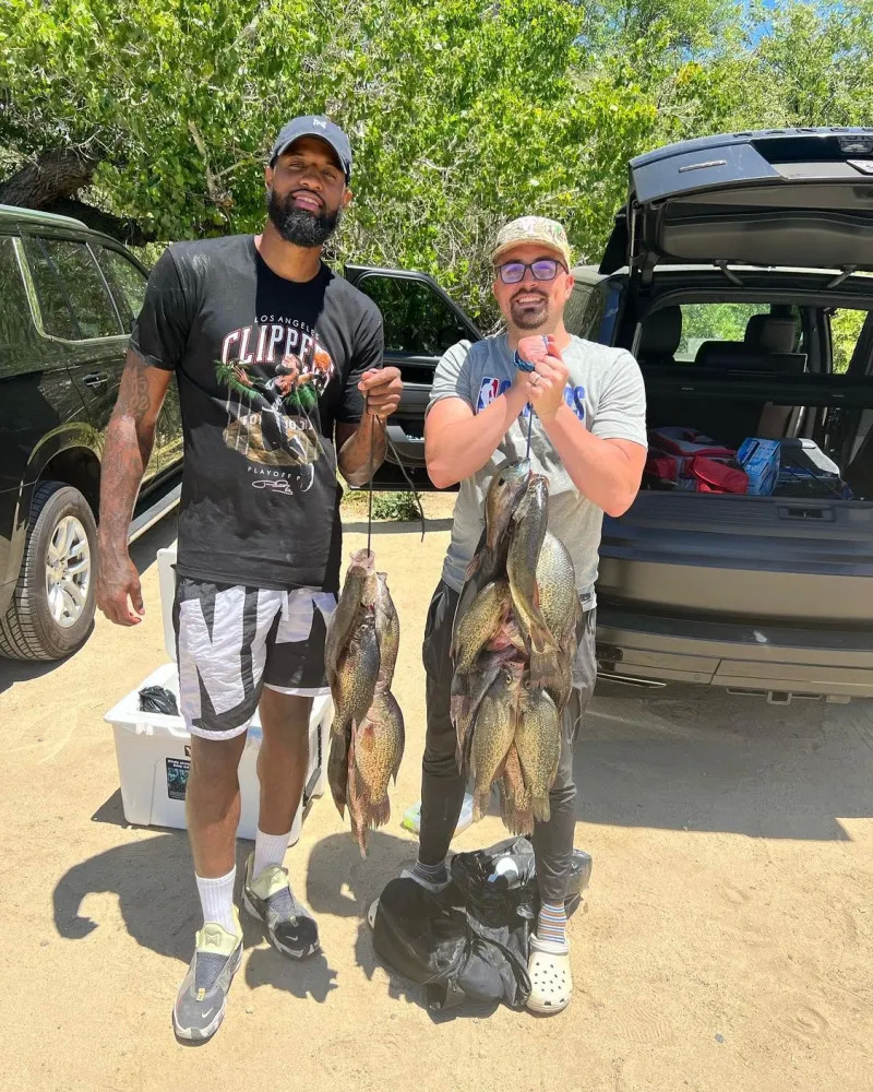 素质的严峻 素质的严峻