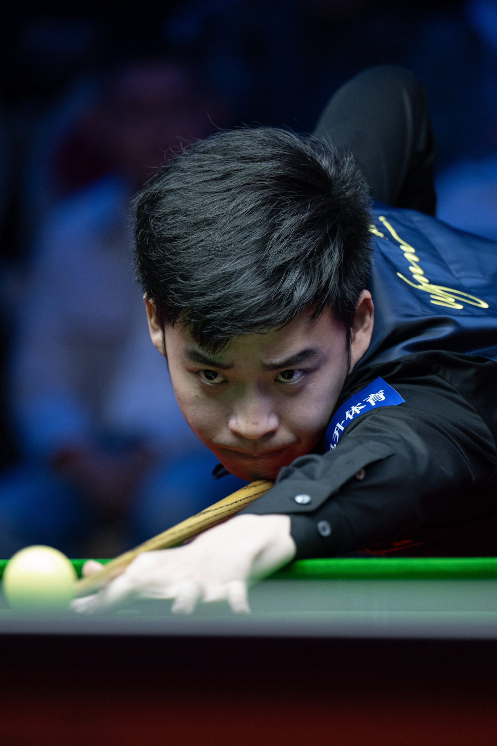 他们不仅利 他们不仅利