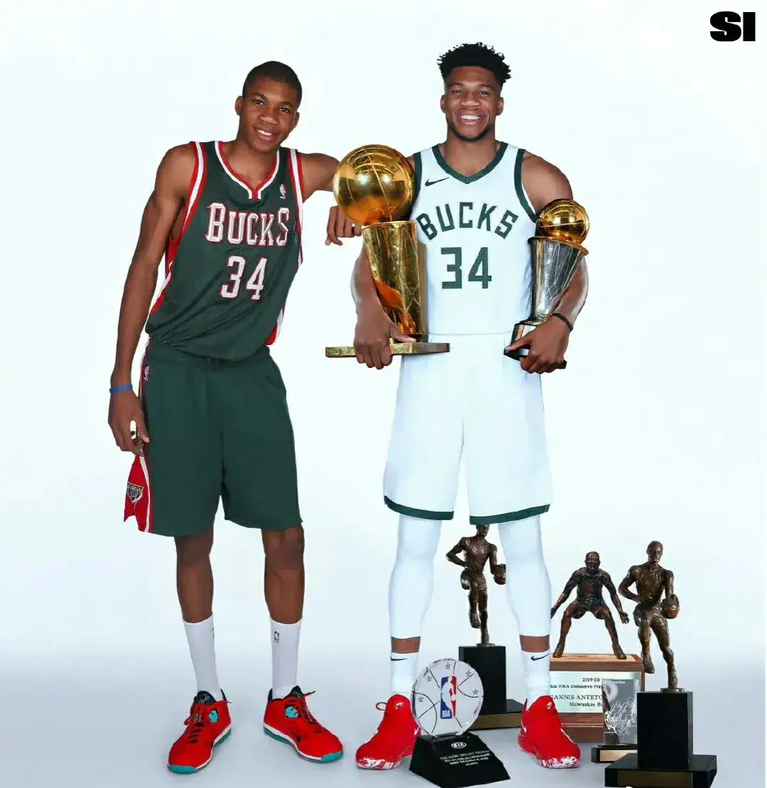 案例分析 案例分析